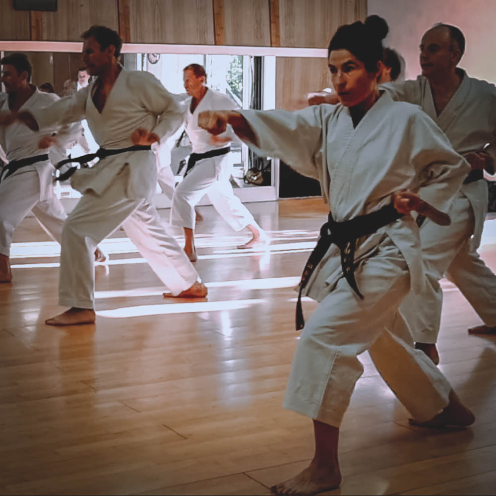Cours de Karaté adulte à Vincennes Dojo karaté à Paris Cercle Tissier