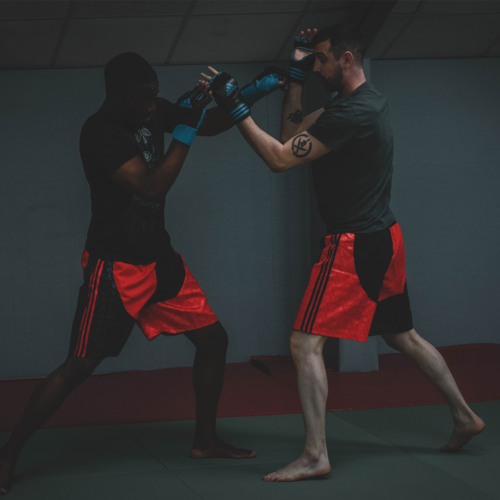 apprendre le MMA à Paris