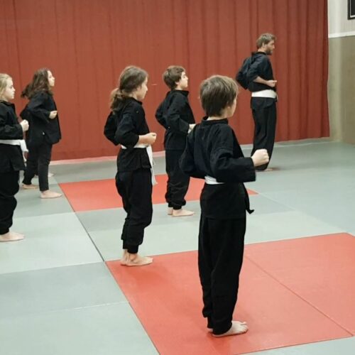 Kung Fu Enfants/Ados